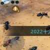 2022十大好玩的蚁族游戏合集